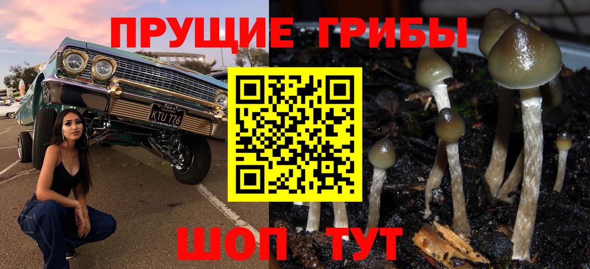 Галлюциногенные грибы мухоморы Дивногорск