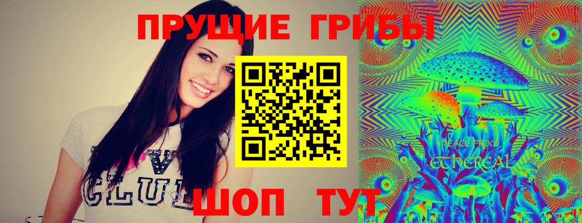 Галлюциногенные грибы Cubensis  Вход с VPN  Дивногорск  Галлюциногенные грибы прущие грибы 